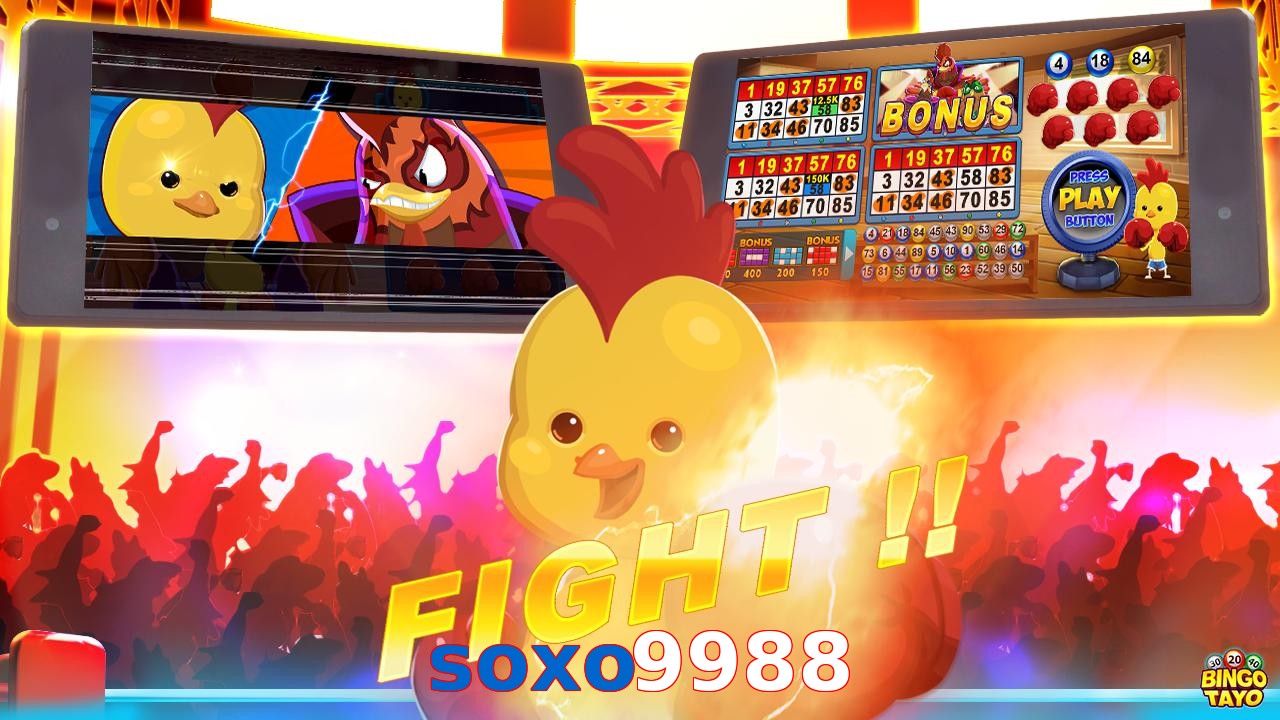 soxo9988