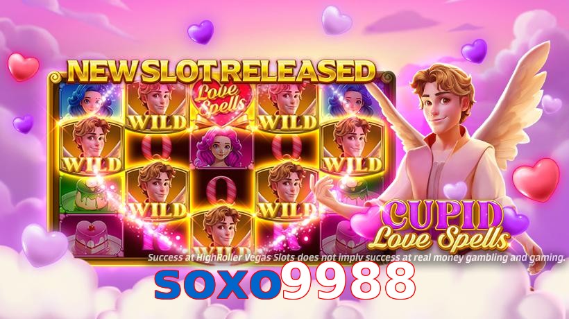 soxo9988