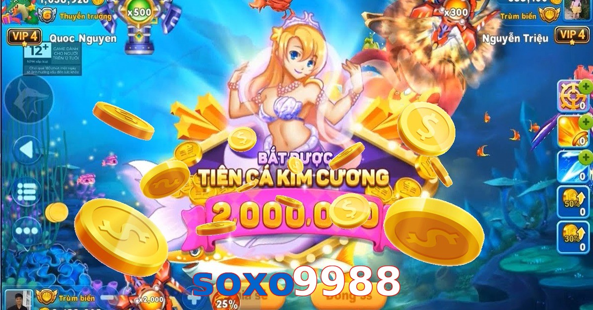 soxo9988