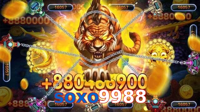 soxo9988