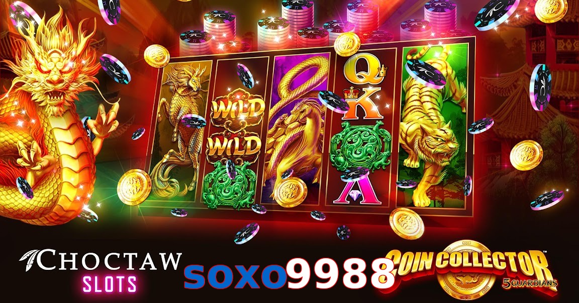soxo9988