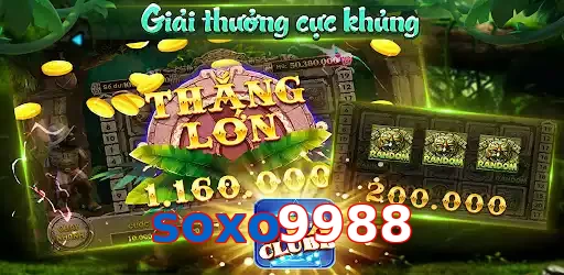soxo9988